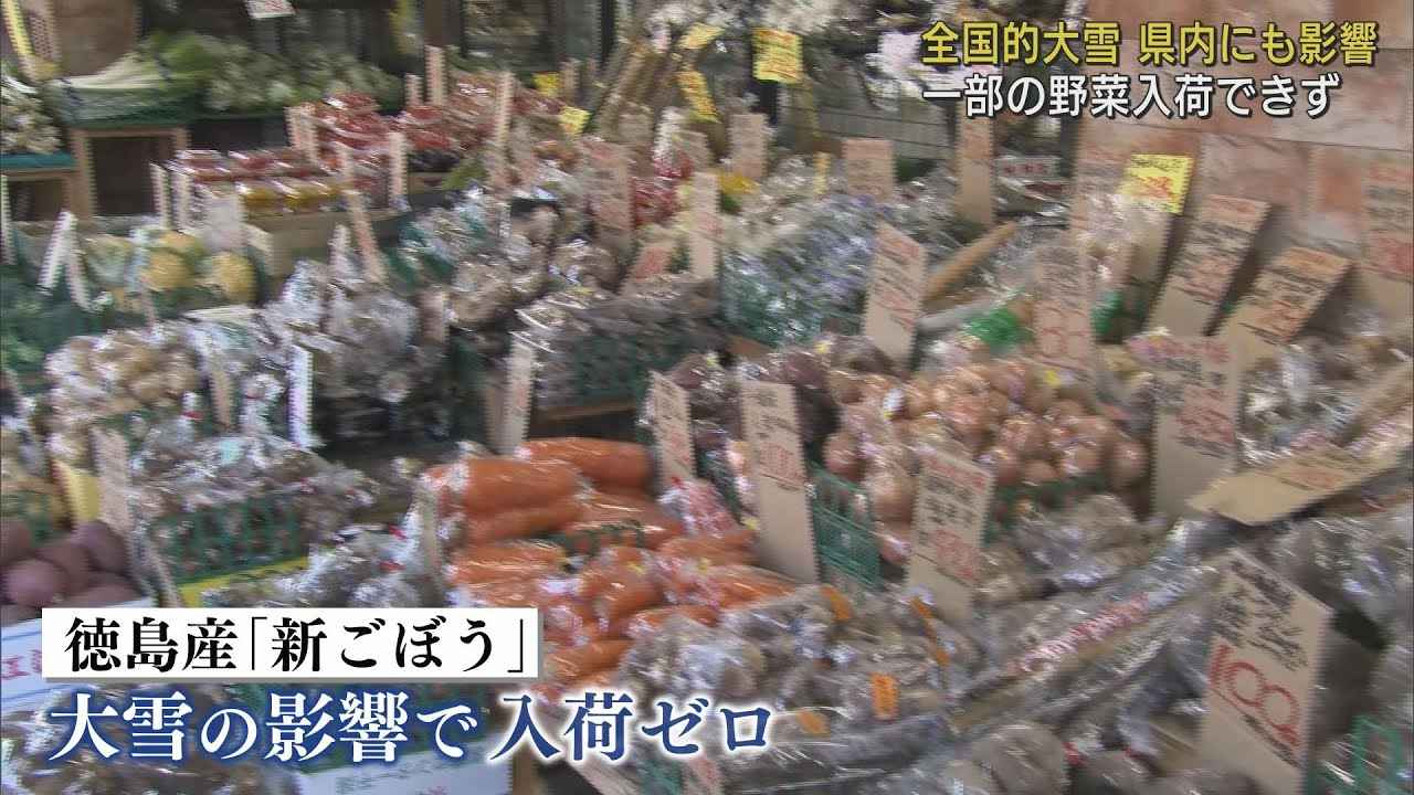 画像: 全国的な大雪で市場に影響　きゅうりは品薄、徳島産の「新ごぼう」は入荷がゼロ　静岡市 youtu.be