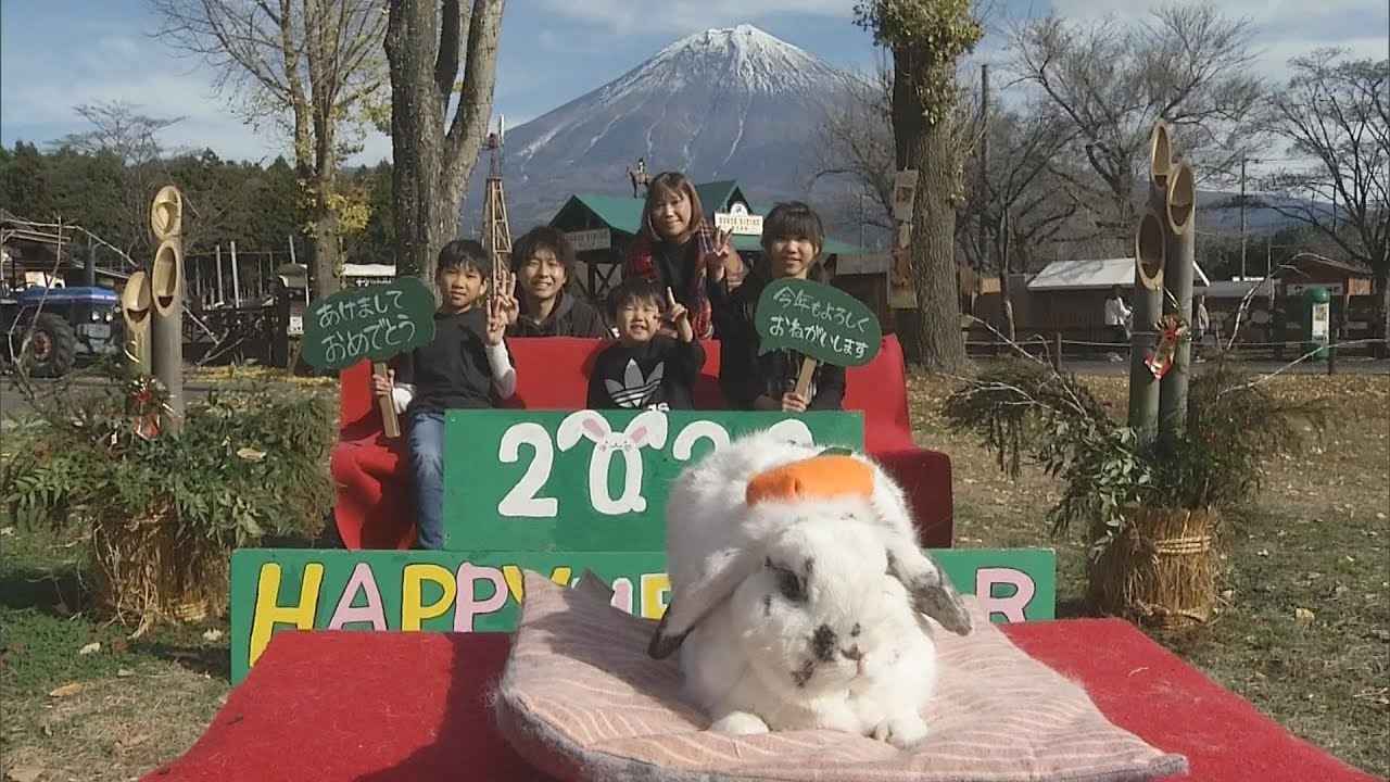 画像: もういくつ寝ると～♪　静岡県内各地で新年を迎える準備～餅つきや門松づくり youtu.be