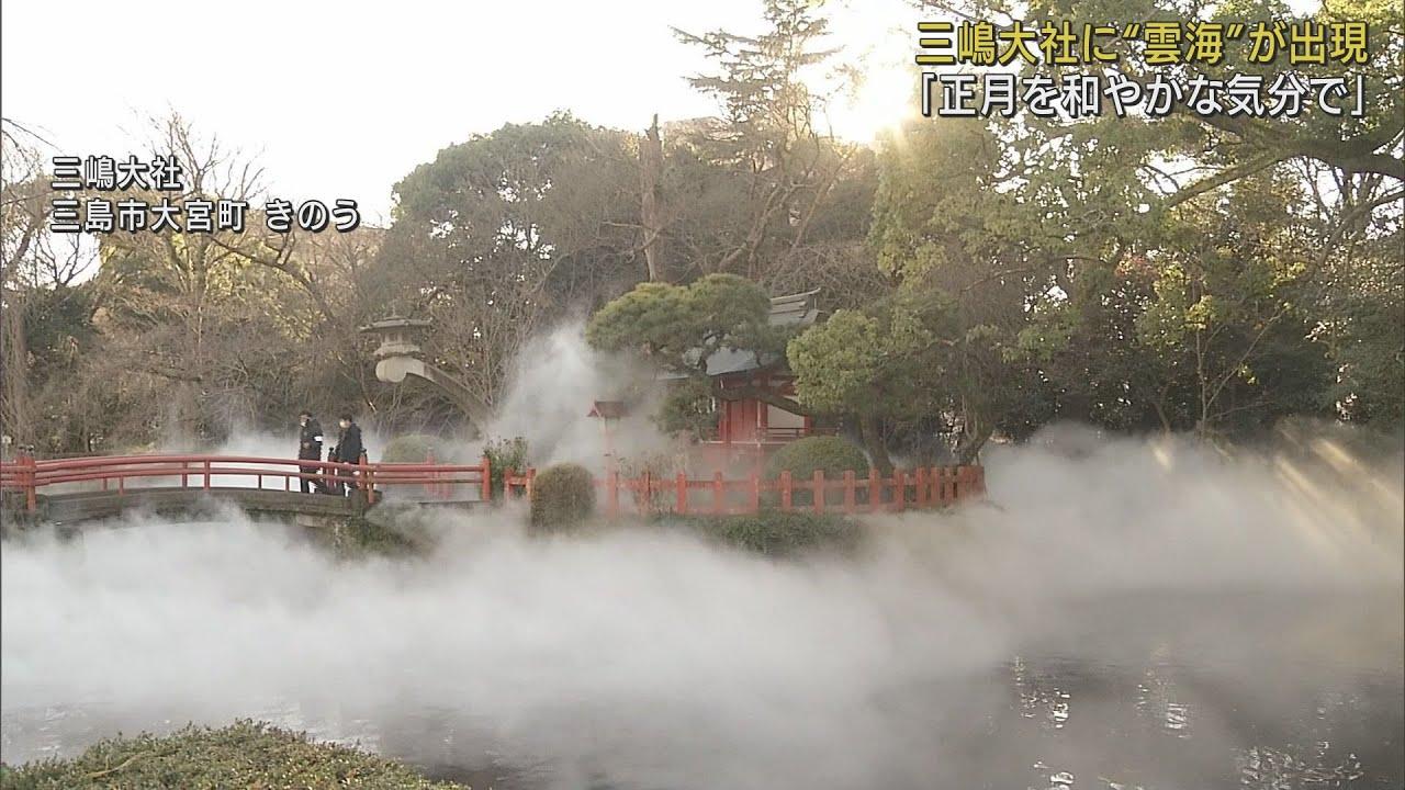 画像: 三嶋大社の池に雲海…実は　参拝客「一瞬本物かと思った。とてもきれい」　静岡・三島市 youtu.be