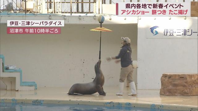 画像: 静岡県内各地で新春イベント　アシカがおみくじ引いて…子どもたちが餅つき体験して…伝統の凧も舞い上がる youtu.be