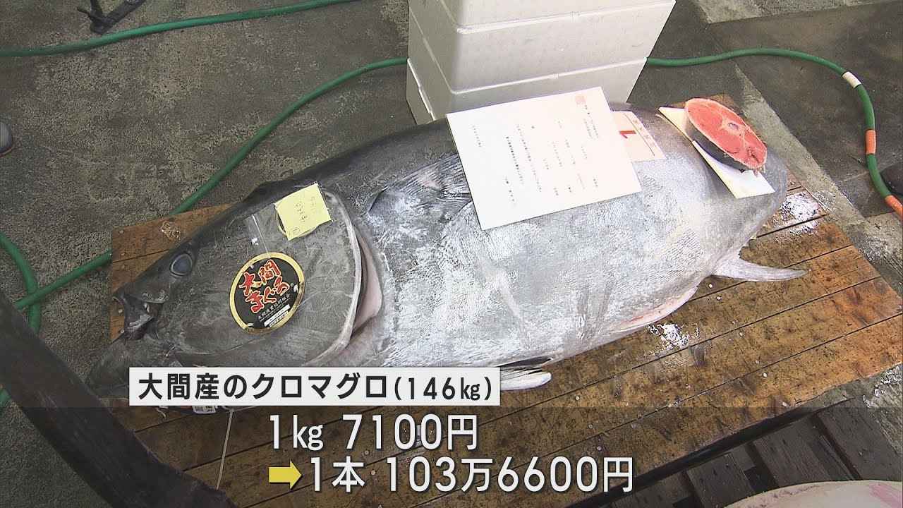 画像: 新春恒例初競り　大間産クロマグロは1本103万6600円　静岡市中央卸売市場 youtu.be