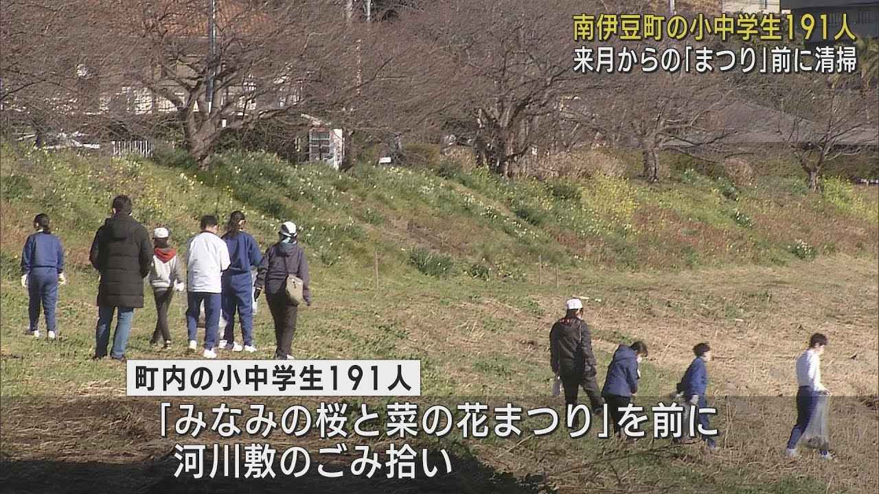 画像: 「みなみの桜と菜の花まつり」を前に小中学生が河川敷のごみ拾い　県内外からの観光客を迎えるために　静岡・南伊豆町 youtu.be