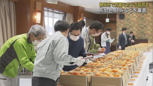 画像: 静岡県内産の貯蔵ミカンの品評会　「青島温州ミカン」「寿太郎ミカン」など200点　静岡市 youtu.be