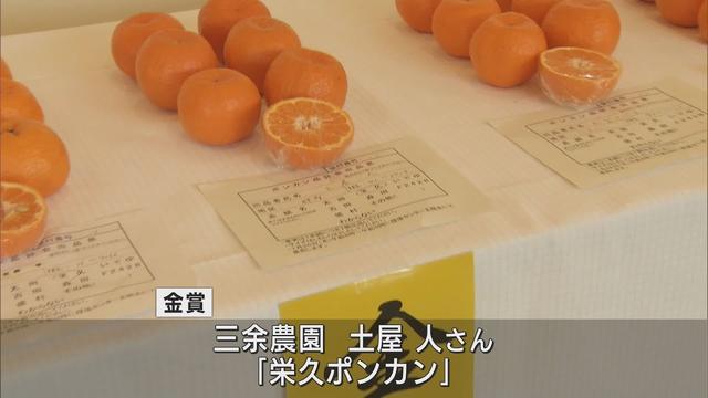 画像: ポンカン品評会　曽祖父が栽培を始めた品種で金賞を受賞　静岡・松崎町 youtu.be