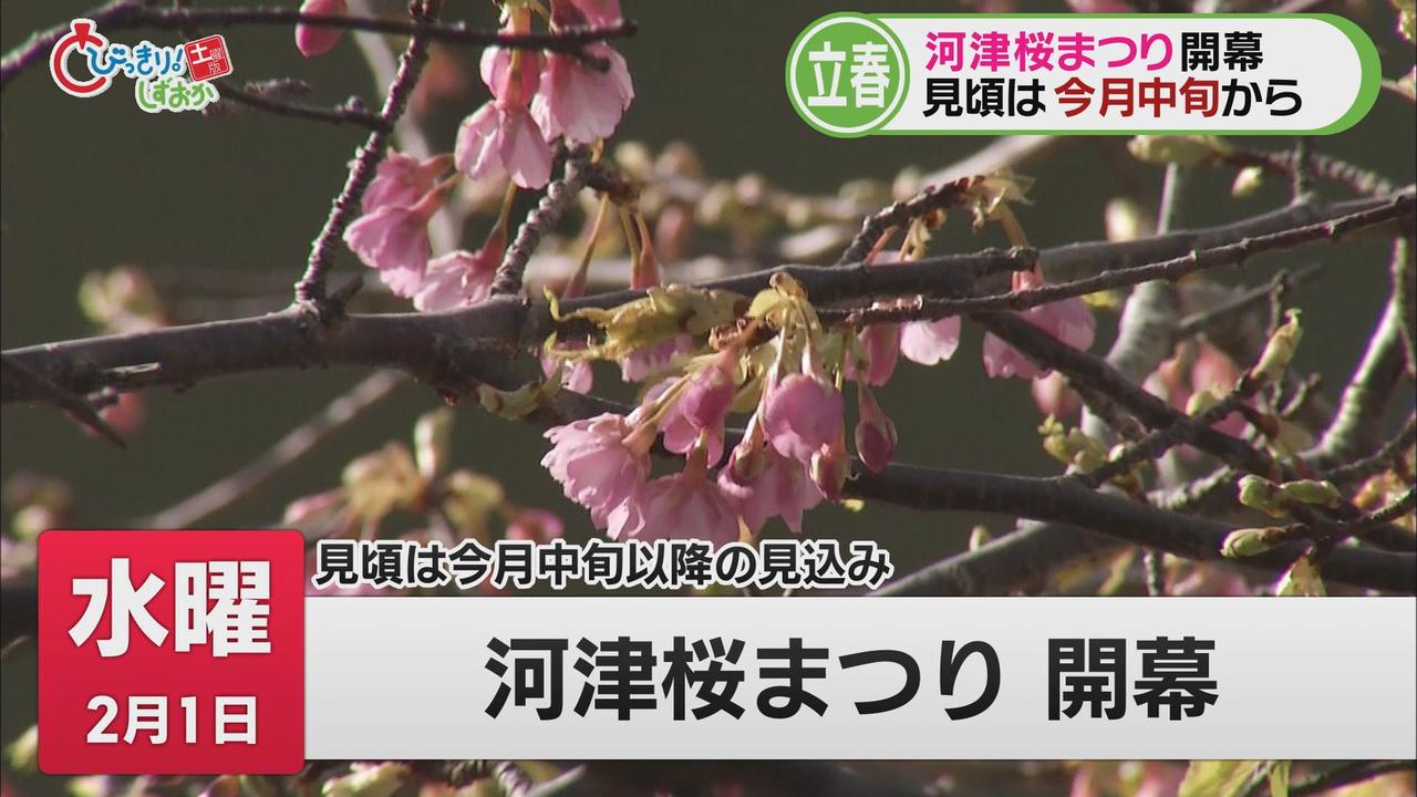 画像: 中学校や繁華街…火災相次ぐ　中学教師「再逮捕」…有識者「先生もストレス抱えている」　【一気にわかる今週の静岡①】