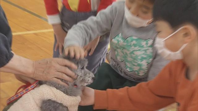 画像: 動物と触れ合い優しい気持ちをはぐくむ「命の教室」静岡県動物保護協会・富士市 youtu.be