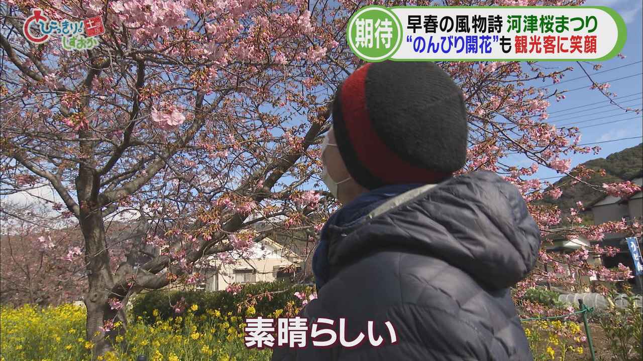 画像: ３年ぶりに日本に…スイス人男性「素晴らしい」