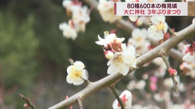 画像: ピンクや白…80種類600本の梅の花を堪能　3年ぶり「おおひと梅まつり」　静岡・伊豆の国市 youtu.be