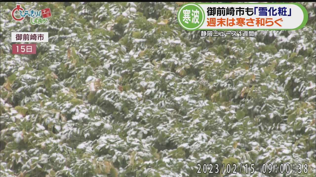 画像: 南の街・御前崎市で雪