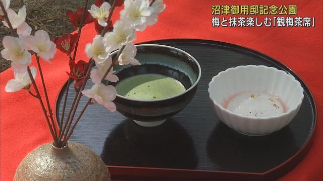 画像: 小鳥のさえずりを聞きながら見ごろを迎えた梅と抹茶、和菓子を楽しむ「観梅茶席」　静岡・沼津市　沼津御用邸記念公園 youtu.be