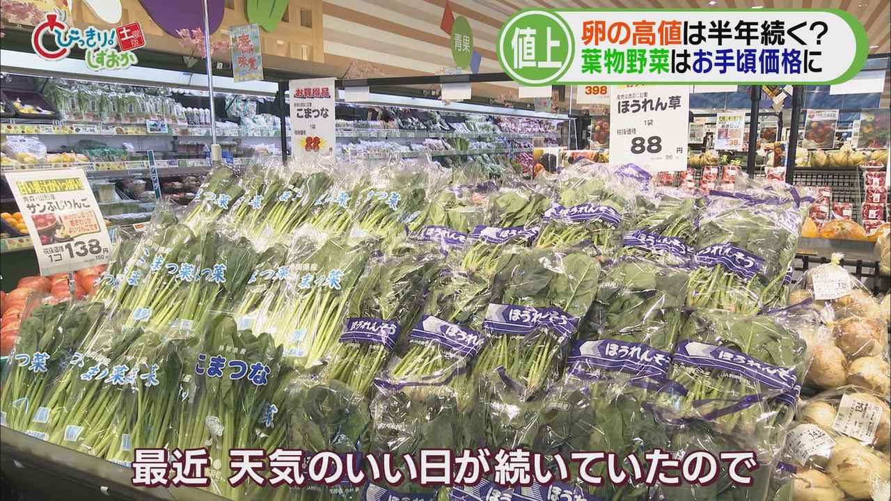 画像: 葉物野菜は『お手頃価格』に