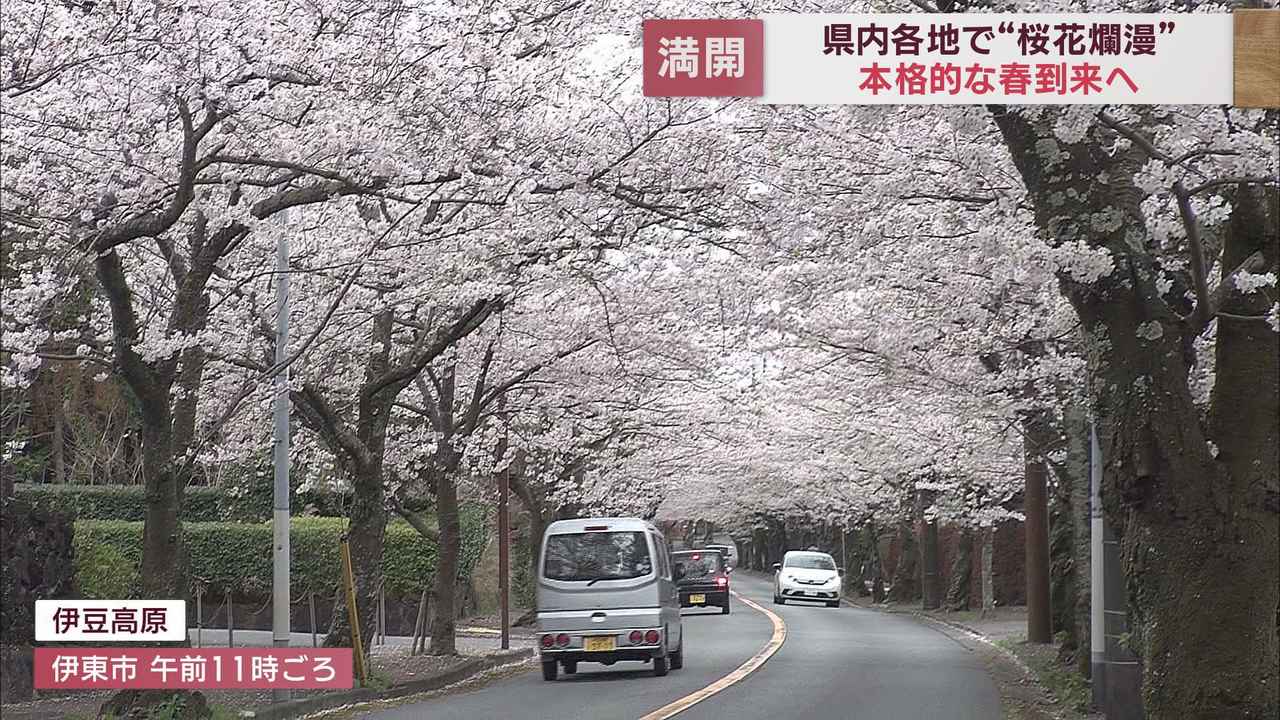 画像: 伊豆高原