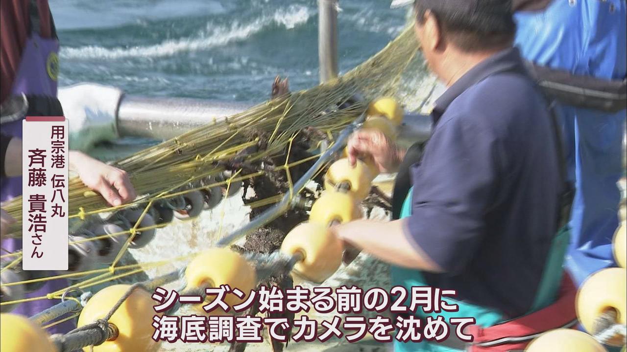 画像2: 海底が見えないほどの流木