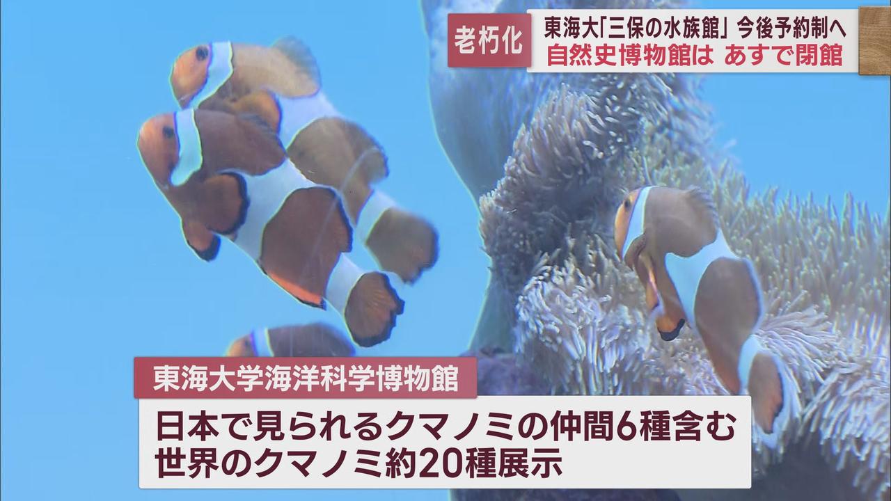 画像3: 東海大学海洋科学博物館31日が有料公開最終日　1970年の開館以来延べ1900万人が訪れた「三保の水族館」　静岡市清水区