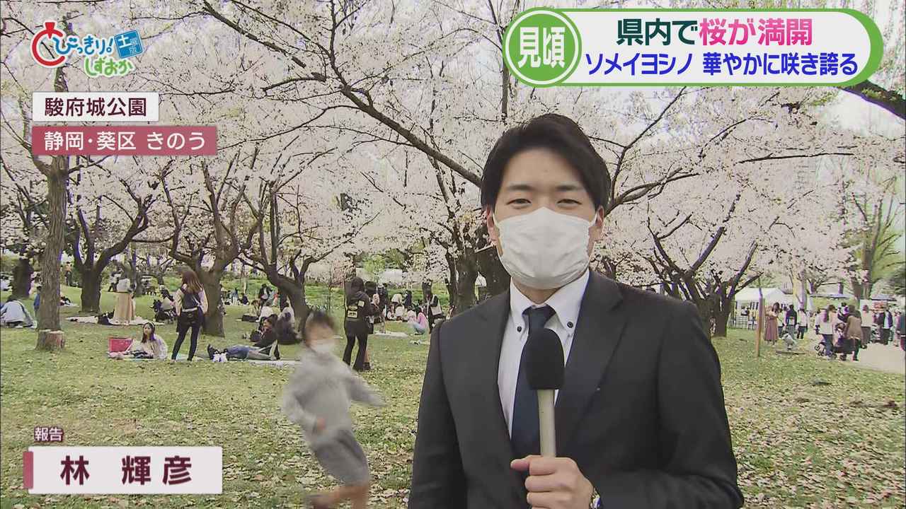 画像1: 「静岡まつり」４年ぶりマスク制限なしで開催　静岡市の春の一大イベントで例年５０万人以上が来場