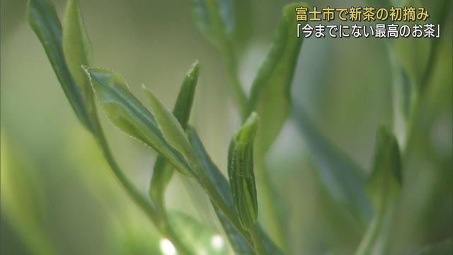 画像: 新茶の初摘み「今までにない最高のものが。新しいお茶の世界を」　静岡・富士市 youtu.be