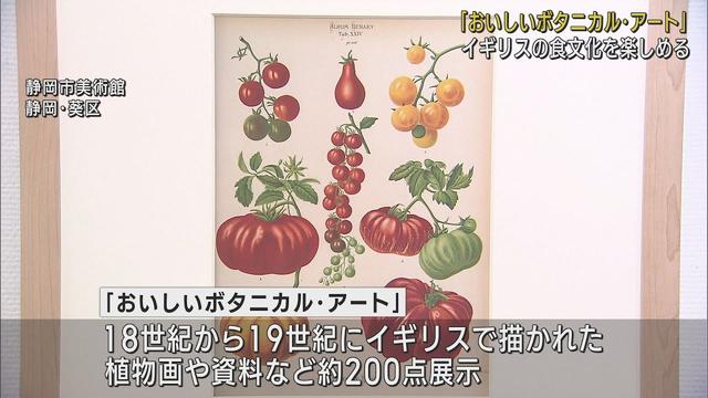 画像: 植物画からイギリスの食文化の歴史を楽しむ 「おいしいボタニカル・アート」展　静岡市美術館 youtu.be