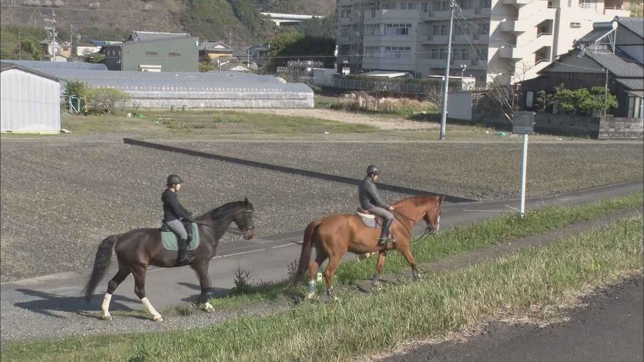 画像1: 馬術の練習場は安倍川の土手