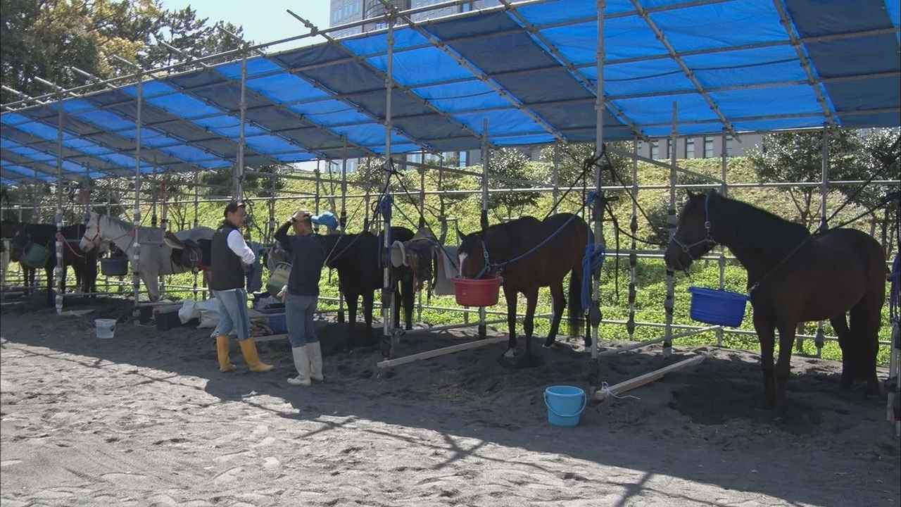 画像: 乗馬経験ない夫もサポート