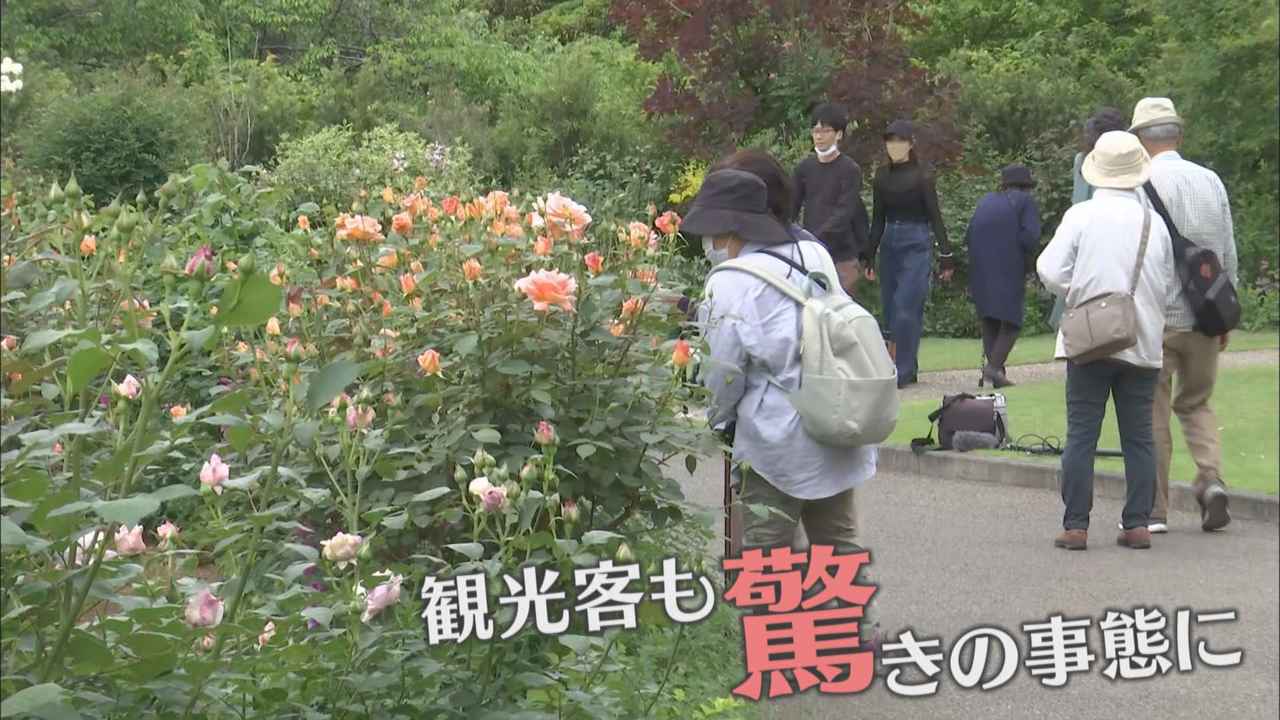 画像1: 「少しずつ早くなっているが、色々な花をお楽しみいただける」