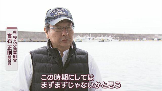 画像: 組合長「この時期にこれだけ大きいエビは最近記憶にない」