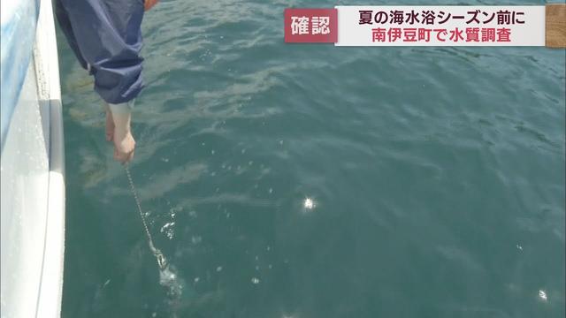 画像: 海水浴シーズンを前に海水浴場の水質検査　静岡県内42の海水浴場で実施　静岡・南伊豆町 youtu.be