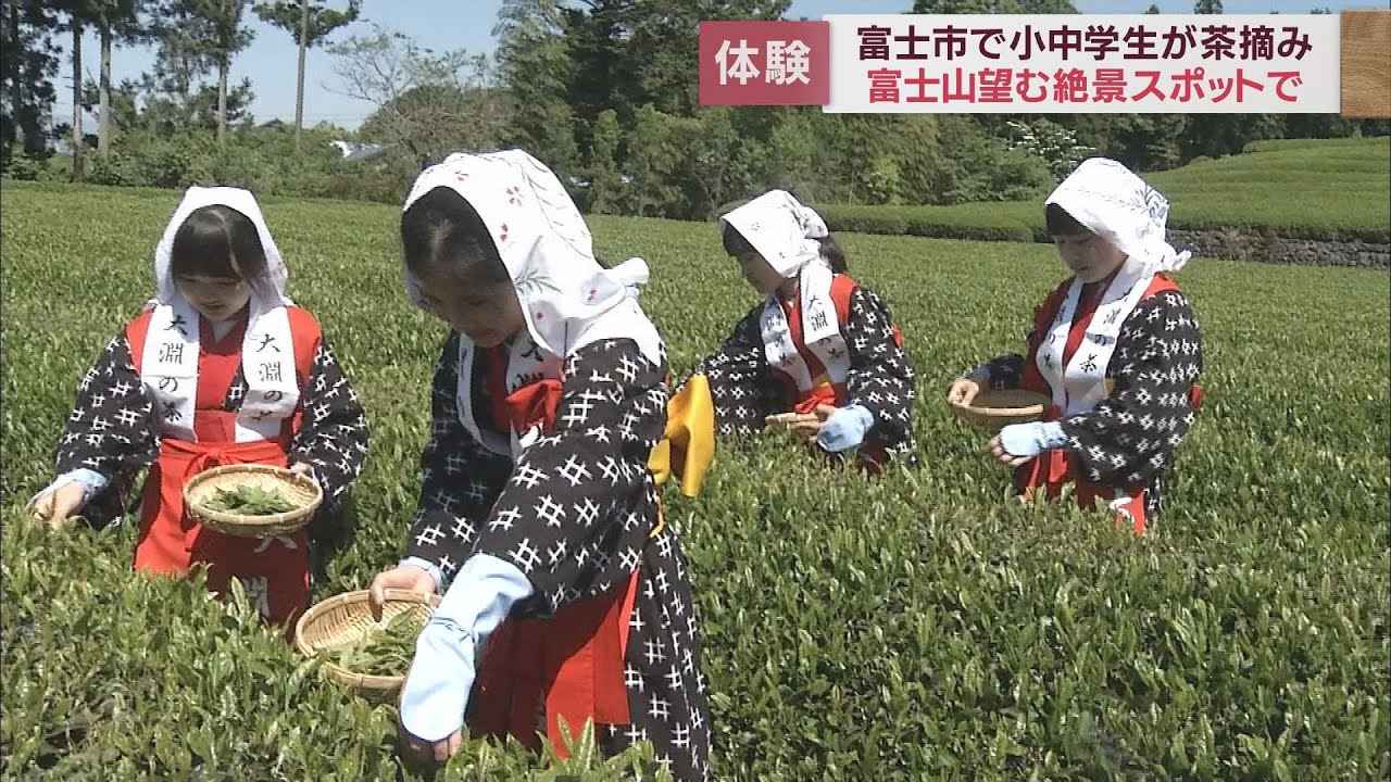 画像: 富士山の麓で茶娘衣装をまとい茶摘みを体験　静岡・富士市 youtu.be