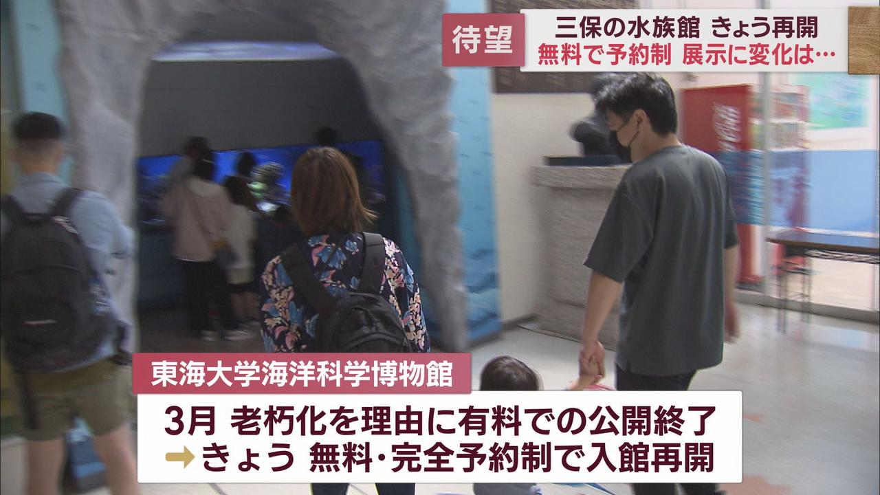 画像1: 高さ６ｍ「巨大水槽」再び…有料公開終了の水族館が「無料」で再開　静岡・清水区