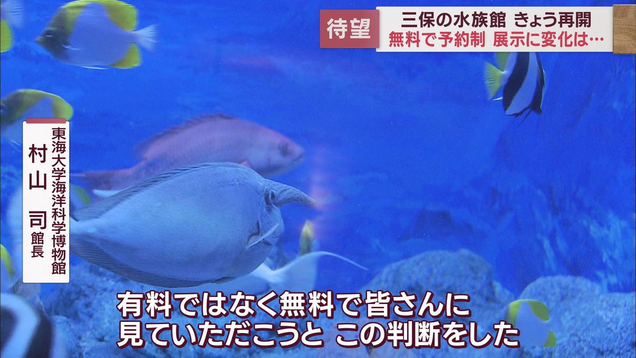 画像3: 高さ６ｍ「巨大水槽」再び…有料公開終了の水族館が「無料」で再開　静岡・清水区