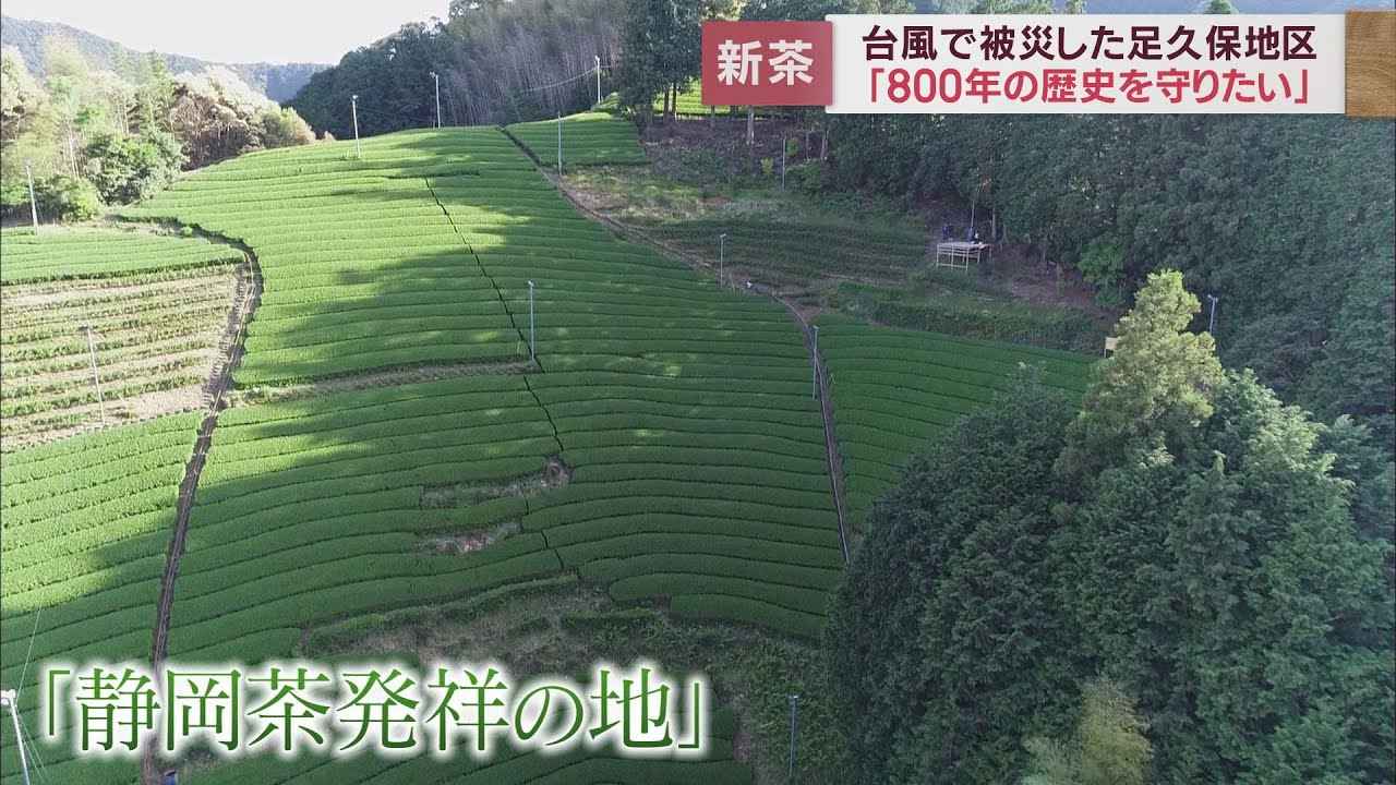 画像: 台風の爪痕残る「静岡茶発祥の地」…８００年の歴史を次世代へ　静岡市 youtu.be