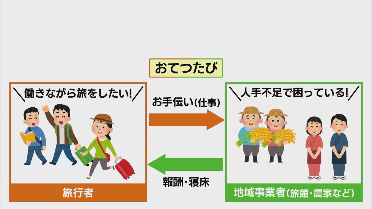 画像: 「おてつたび」＝“おてつだい”＋“旅”　参加した女子大生「働いてこそわかる地域の現状を知りたい」　浜松市