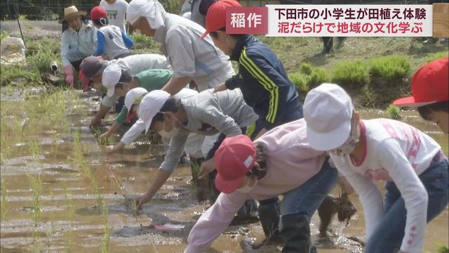 画像: 小学生が田植えに挑戦　子どもたちに地域の文化を伝える体験授業　静岡・下田市立稲梓小学校 youtu.be