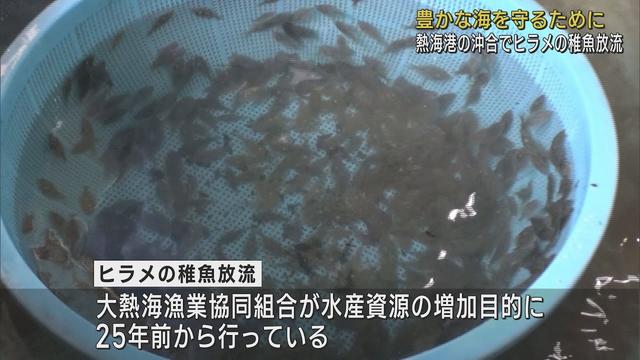 画像: 豊かな海を守るためヒラメの稚魚1万匹を放流　静岡・熱海港 youtu.be