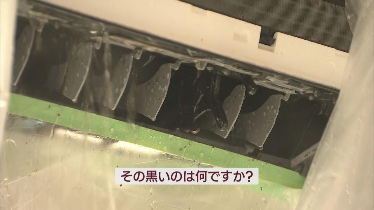 画像2: 暑さで問い合わせ増「エアコンクリーニング」