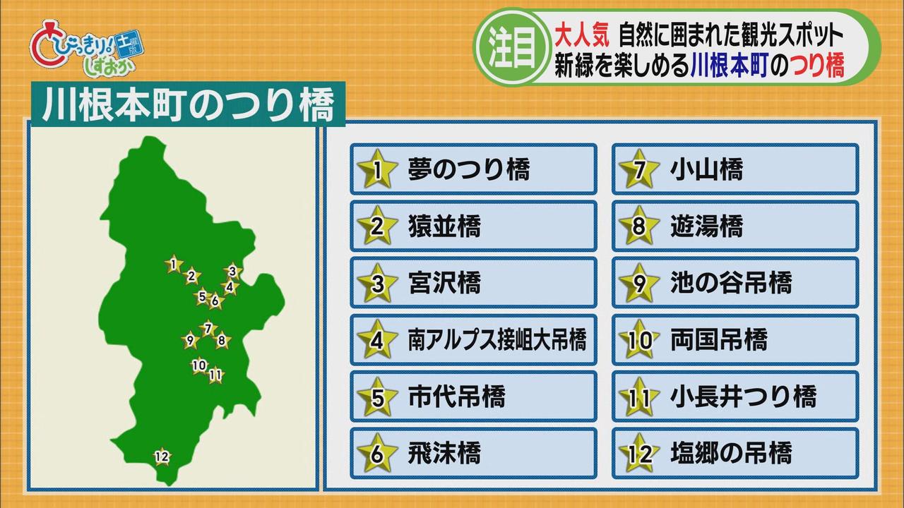 画像1: 【注目スポット】全長90mの「夢のつり橋」　緑の鮮やかなグラデーションが見ごろ　静岡・川根本町