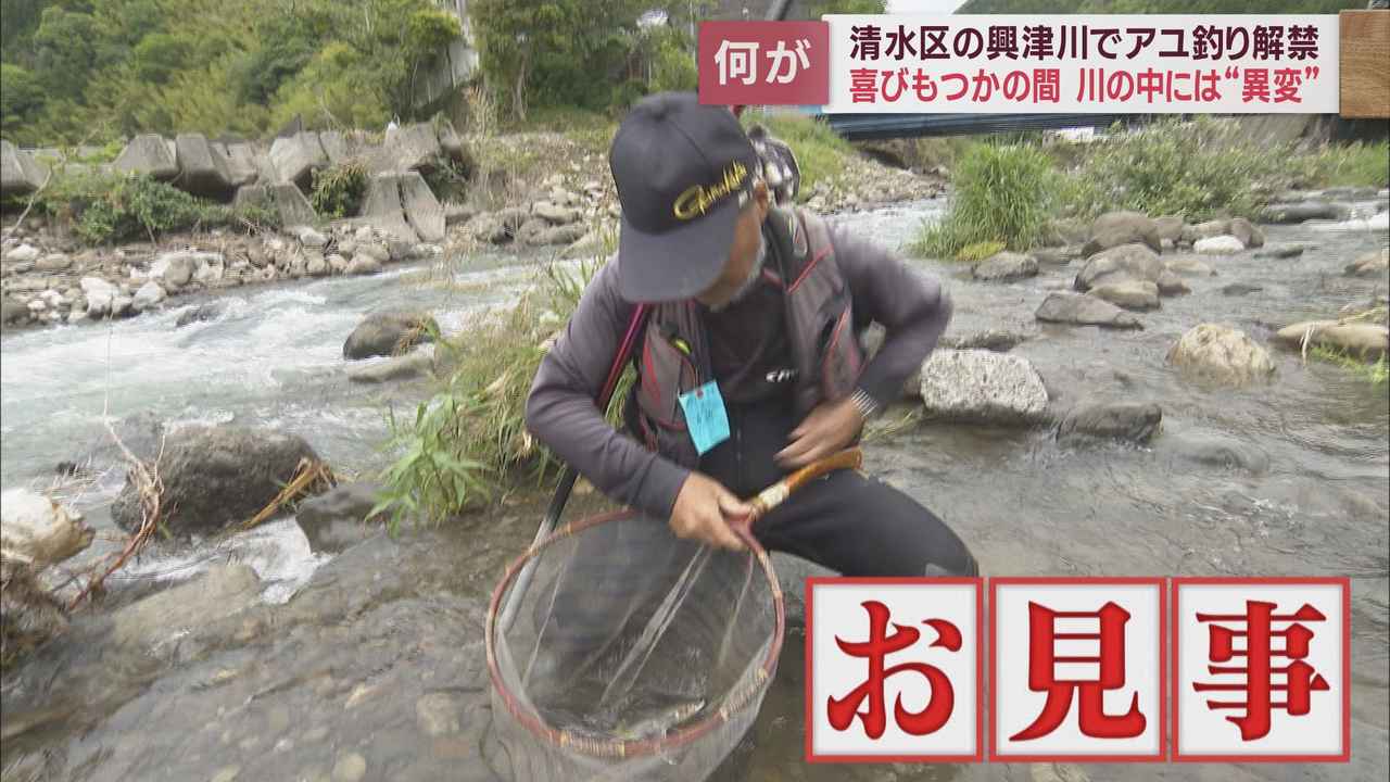 画像5: 台風15号の影響が心配される中で興津川のアユ釣りが解禁　静岡市清水区