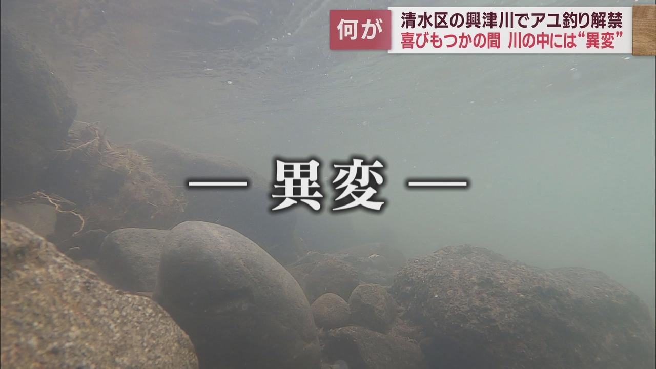 画像1: やはり台風による異変が