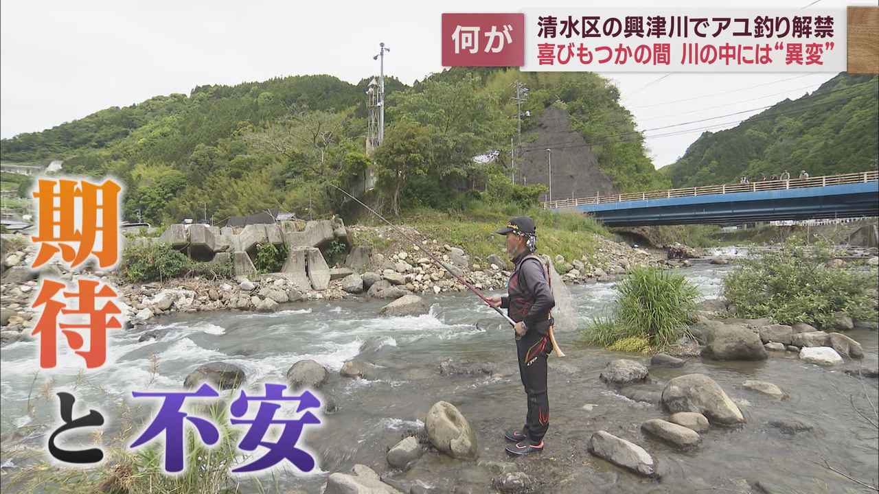 画像1: 台風15号の影響が心配される中で興津川のアユ釣りが解禁　静岡市清水区