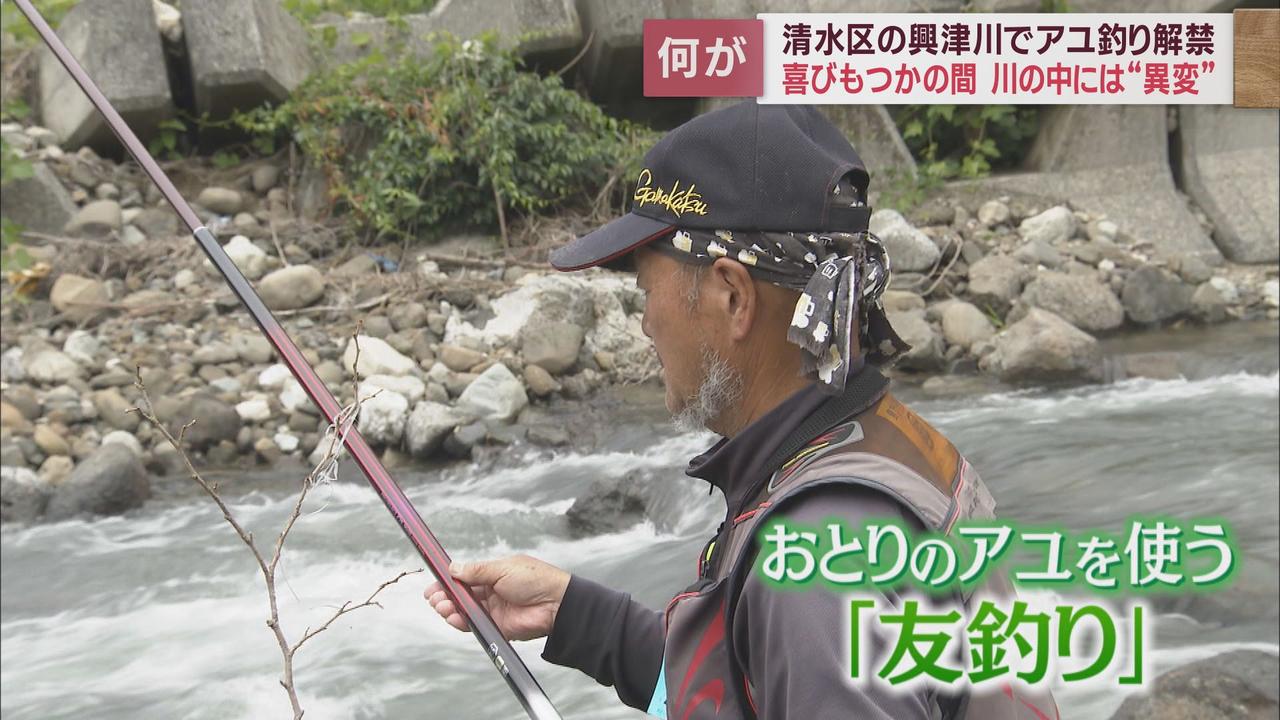 画像4: 台風15号の影響が心配される中で興津川のアユ釣りが解禁　静岡市清水区