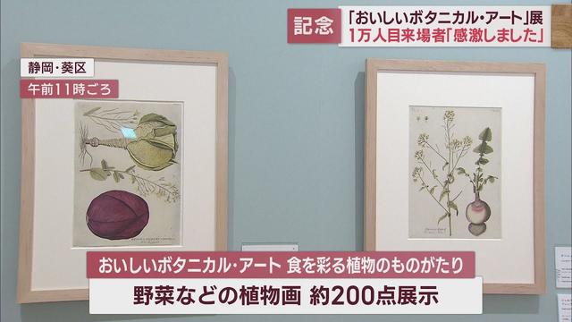 画像: イギリスの食を彩った植物画展「おいしいボタニカル・アート食を彩る植物のものがたり」来場者1万人達成 youtu.be