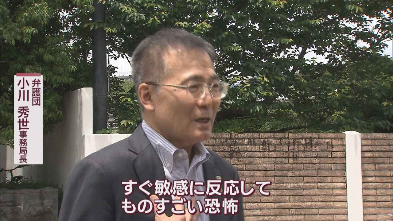 画像: 「袴田さんは裁判所に出頭を強制されることが恐怖」