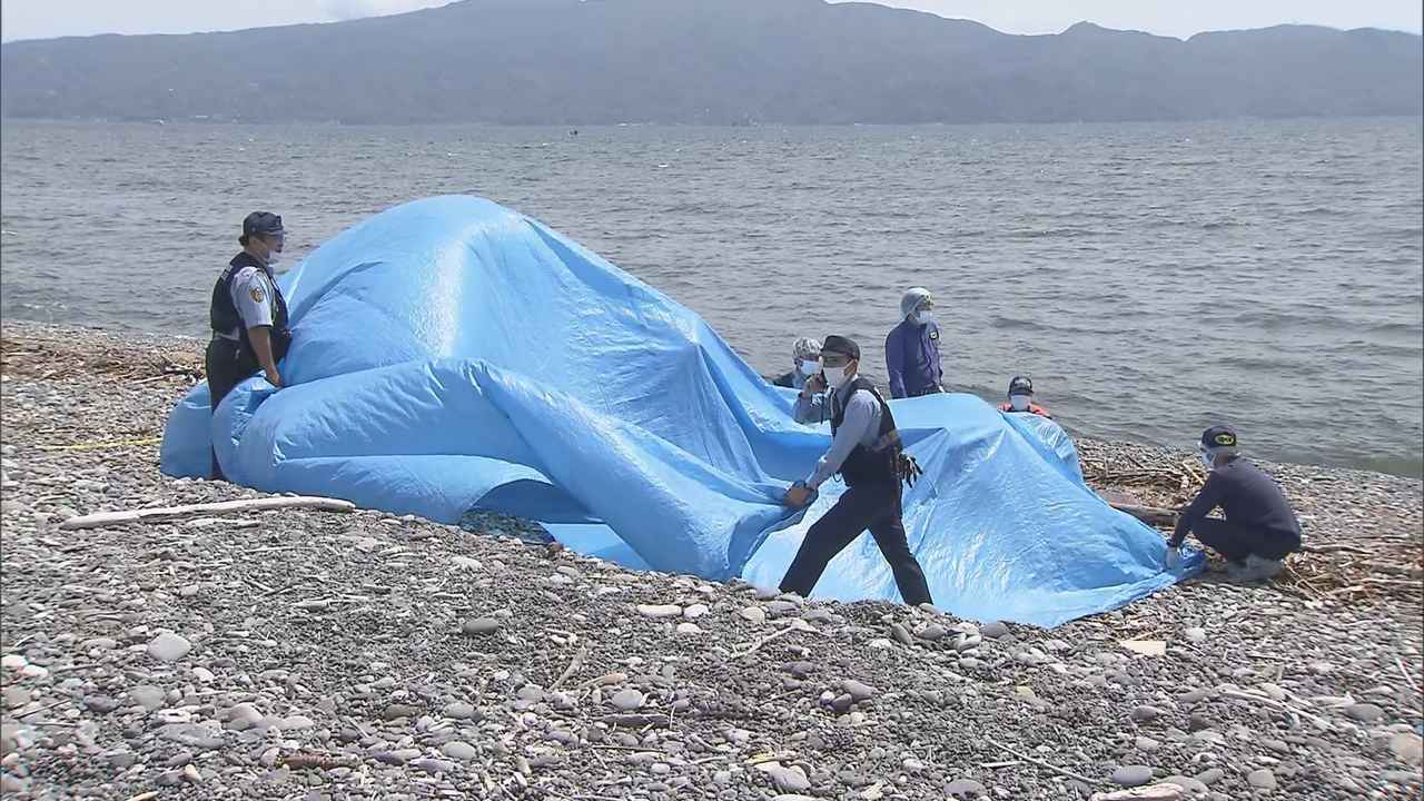 画像: 【続報】海岸に乳児の遺体　遺体の一部は焼損していた　静岡・沼津市