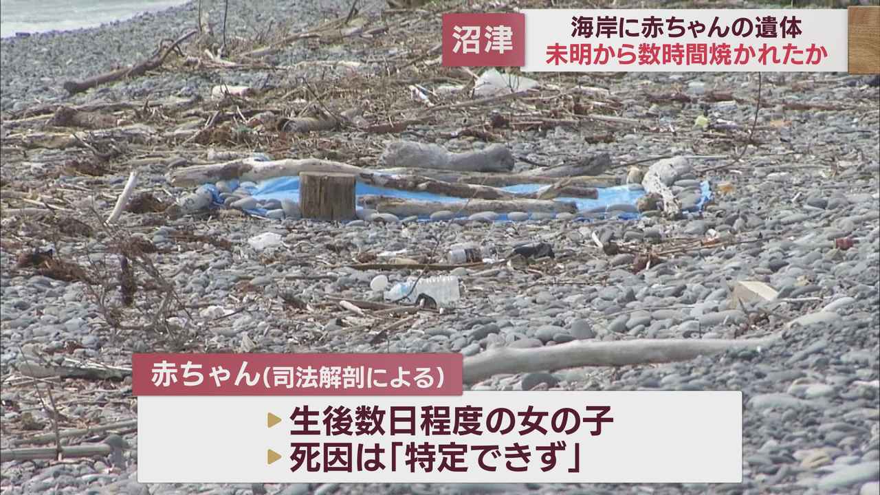 画像2: 赤ちゃんの遺体は未明から数時間焼かれていたか　別の場所で生まれ海岸に運ばれた可能性　静岡・沼津市