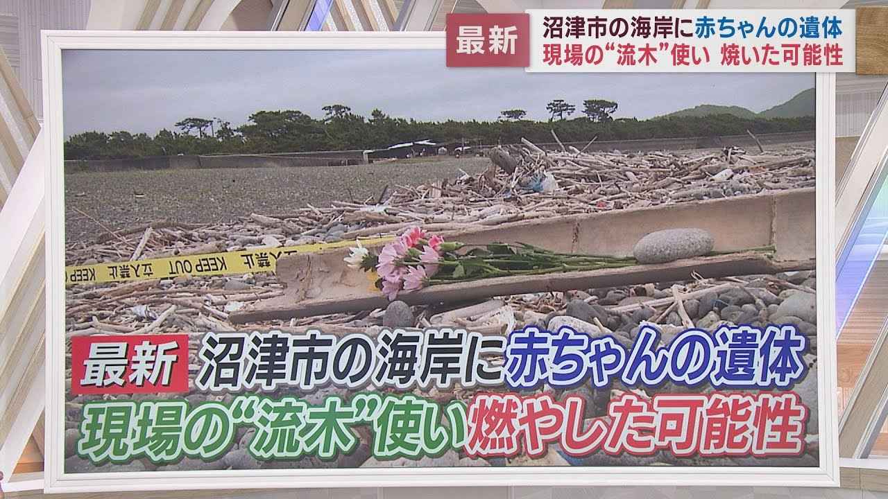 画像: 海岸の流木使って焼いたか…生後数日の女児の遺体遺棄事件　静岡・沼津市 youtu.be