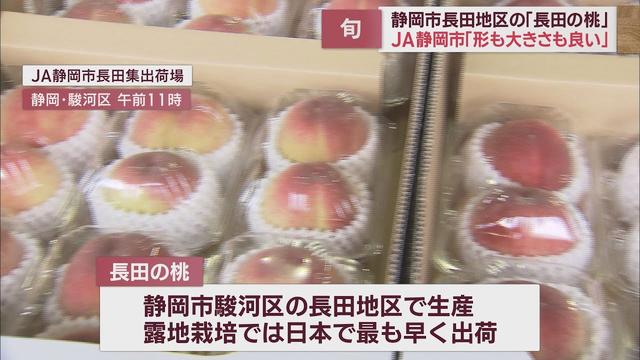 画像: 甘くてジューシー…「長田の桃」目揃え会　去年並みの50トンを出荷予定　静岡市 youtu.be