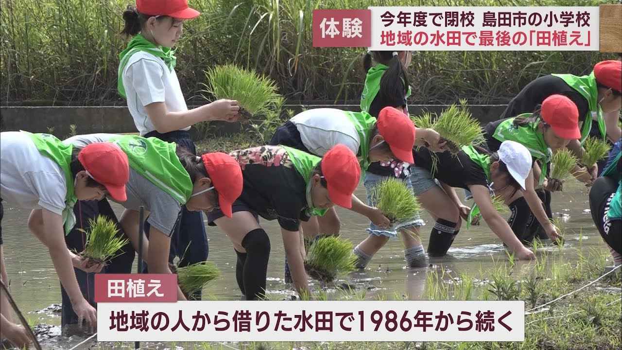 画像: 全校児童が最後の「田植え」…地域の人「寂しくなる」　小学校5校の統合で閉校する市立相賀小学校　静岡・島田市 youtu.be