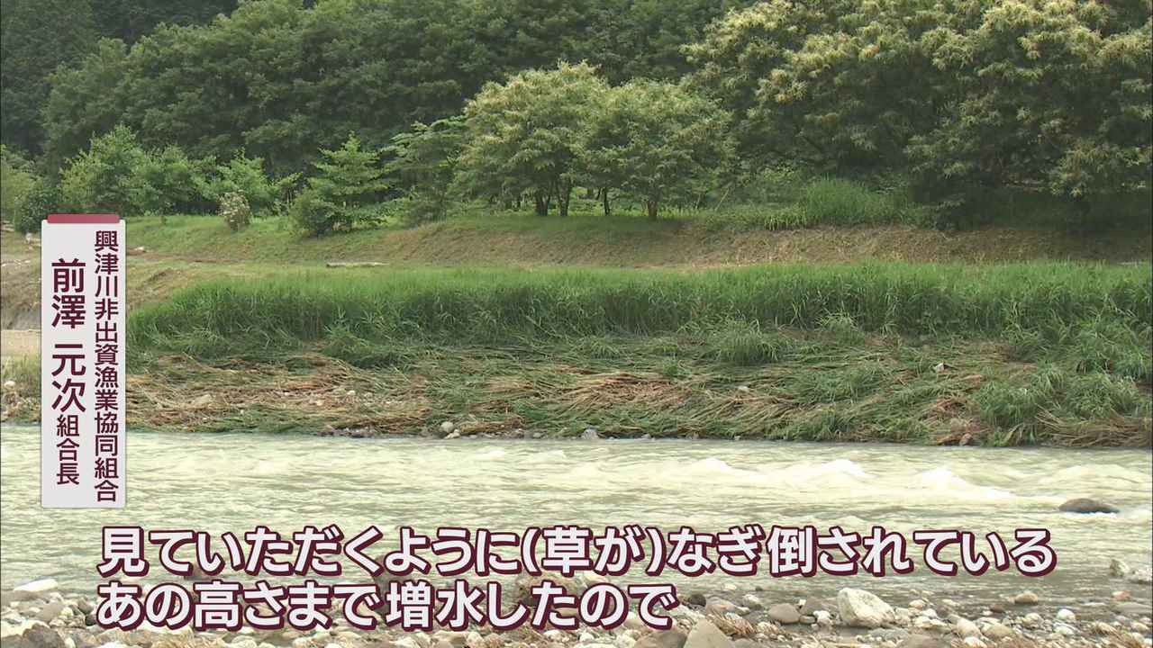 画像2: 去年の台風１５号でアユにとって厳しい環境に