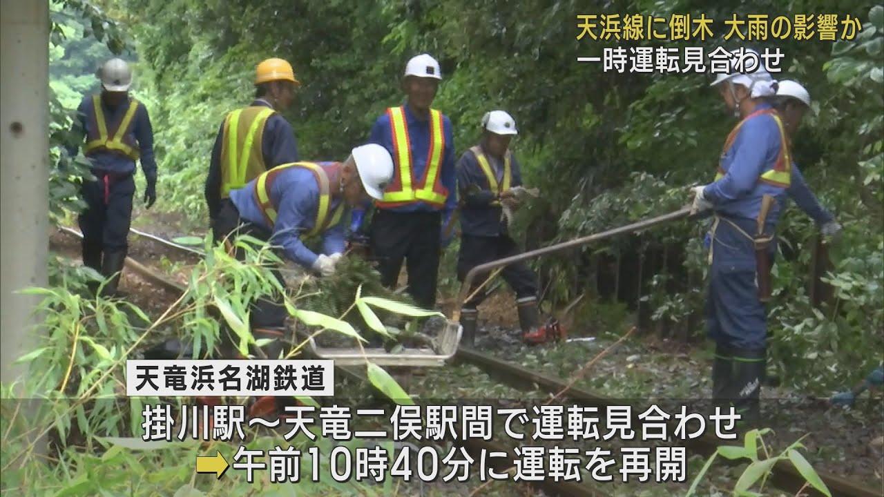 画像: 天竜浜名湖鉄道の線路で倒木…運転を見合わせていた掛川～天竜二俣間が運転再開　静岡・森町 youtu.be