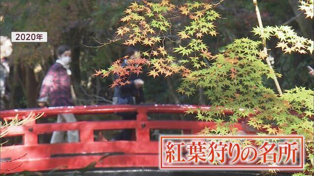 画像1: 紅葉狩りの名所