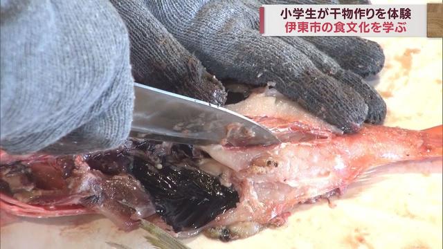 画像: ふるさとの食文化を学ぶ…児童が干物作り体験　アジやキンメダイに悪戦苦闘　静岡・伊東市 youtu.be